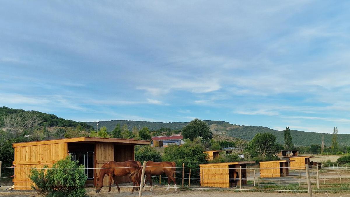 Paddocks