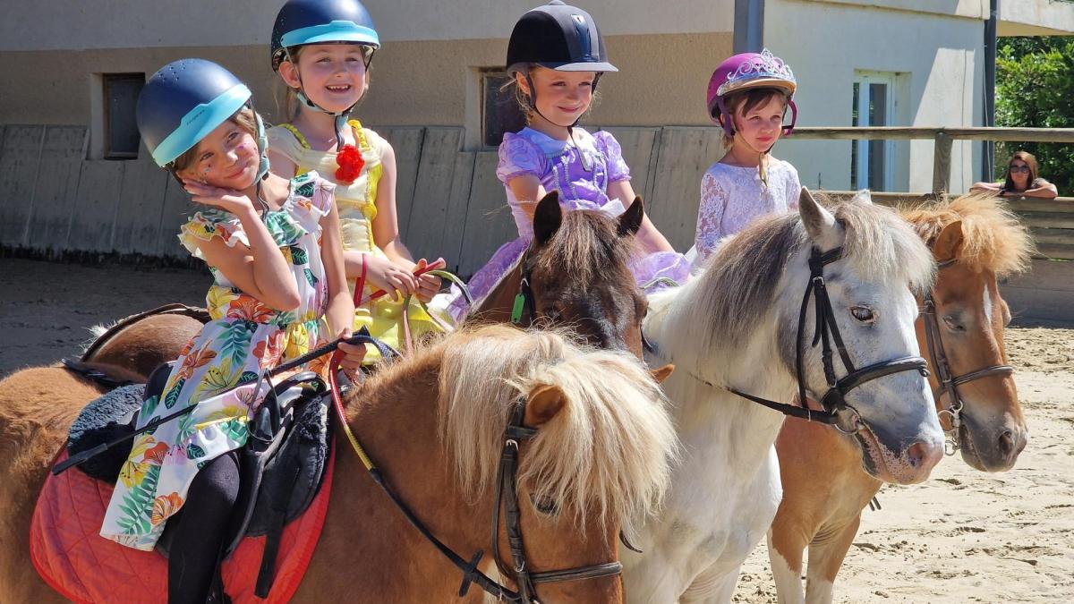 A Poney
