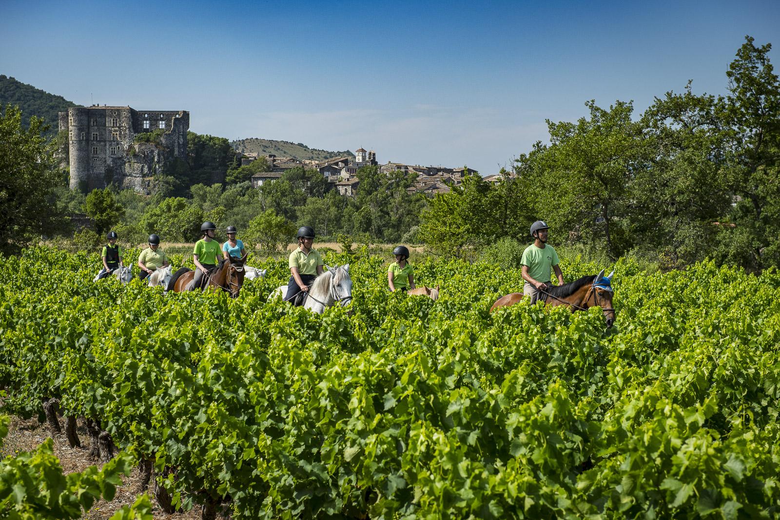 Alba site antique chateau cheval equitation vignes mathieu dupont 99