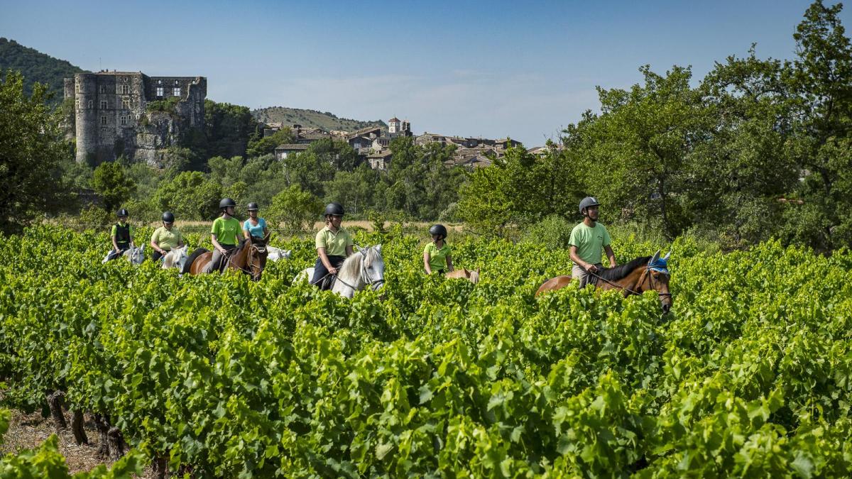 Alba site antique chateau cheval equitation vignes mathieu dupont 99